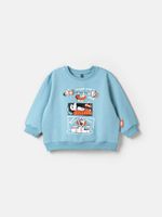 Свитшот Бодо Бородо "Аква" облегченный