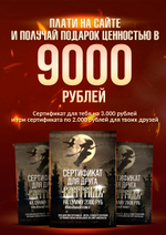 Носки Варгградъ лого «Крылатая звезда» (Комплект)