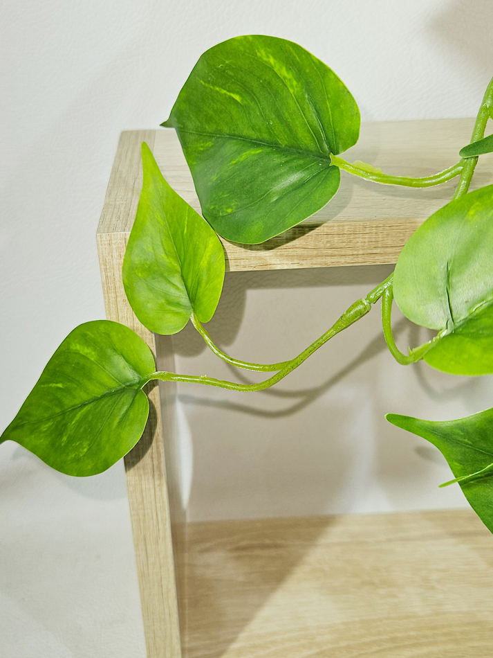 Искусственное растение Сциндапсус зеленый малый 35см в кашпо