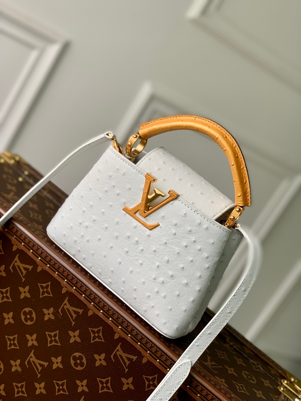 Louis Vuitton Capucines Mini