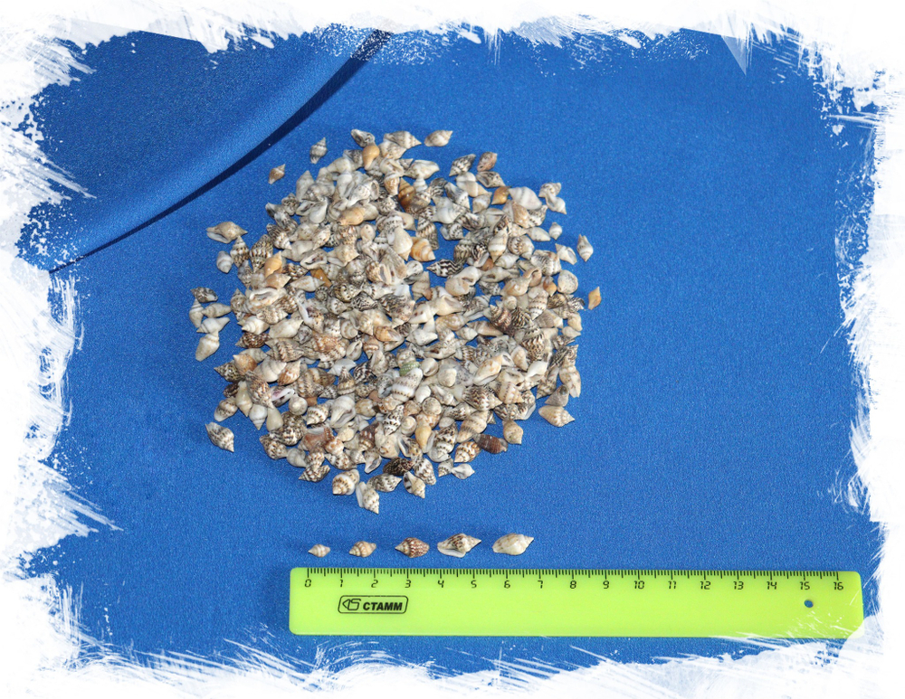 Мелкие морские ракушки для эпоксидной смолы