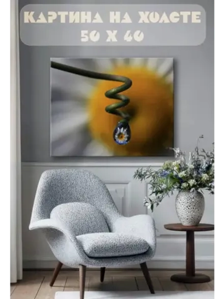 Картина на стену 40 X 50 Ромашка в росе