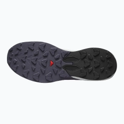 Женские Кроссовки для бега Salomon Pulsar excalibur/vanilla ice/nine iron