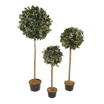 Падуб 160 см [Арт. 3716216]