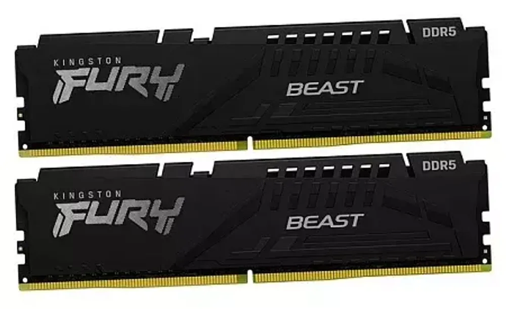 Оперативная память Kingston FURY Beast Black [KF552C40BBK2-32]