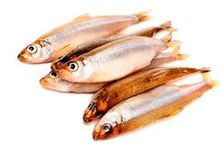 Корюшка Малоротка замороженная~1кг