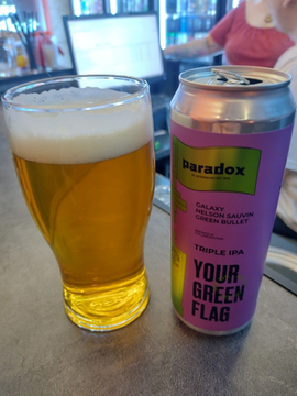 Банка 0.45 Your Green Flag // Paradox x White Stone