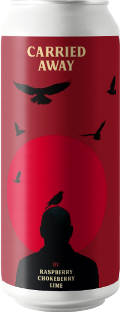 Пиво План Б Кэррид Эвей Распберри, Чокоберри, Лайм / Plan B Carried Away Raspberry, Chokeberry, Lime 0.45 - банка