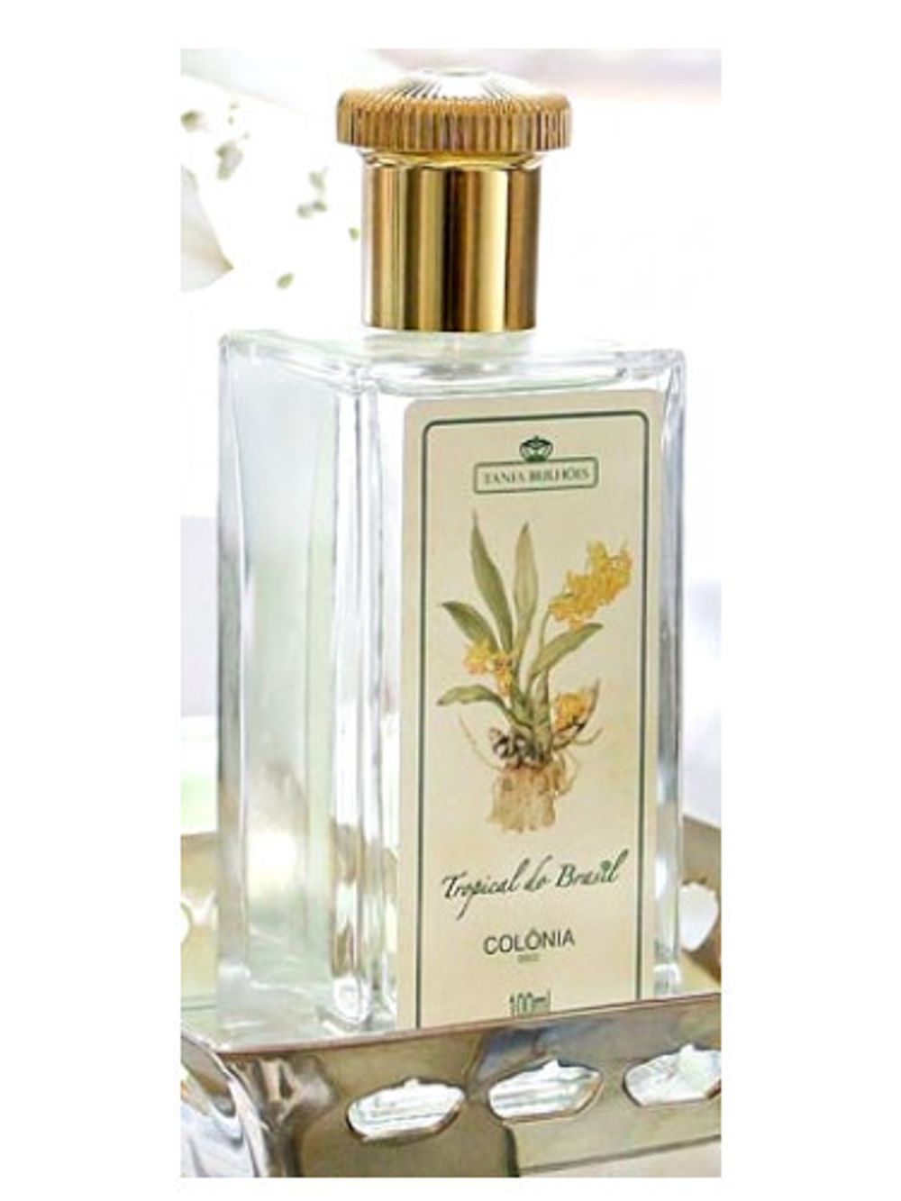 Tania Bulhoes Tropical do Brasil Colonia