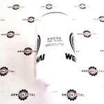 Фильтр топливный ДВС Bull | 1000700909 | WEICHAI