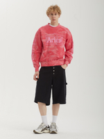 Мужская Толстовка Aged Column Camo