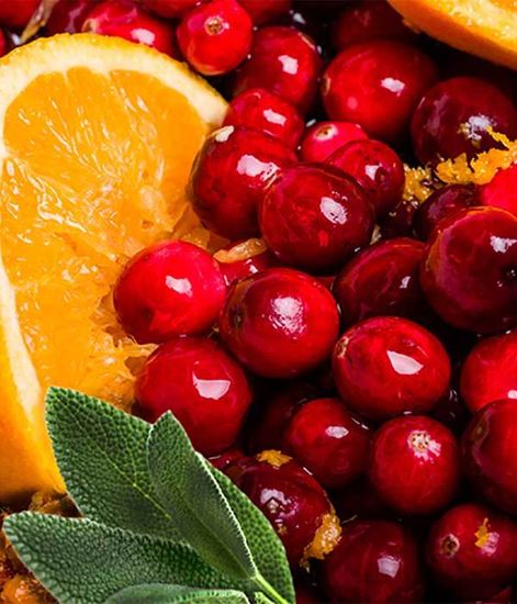 Ароматический воск Клюква и шалфей Cranberry Sage, Candle Warmers