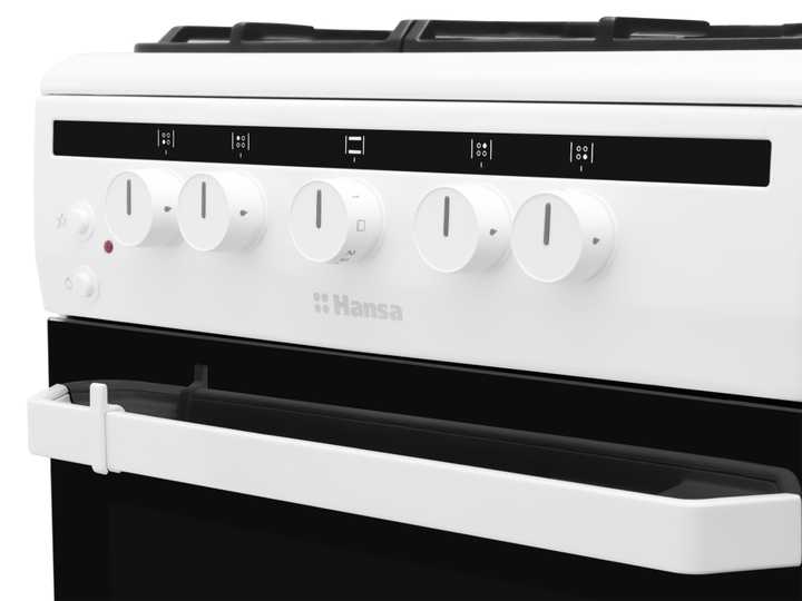 Газовая плита Hansa FCGW52021