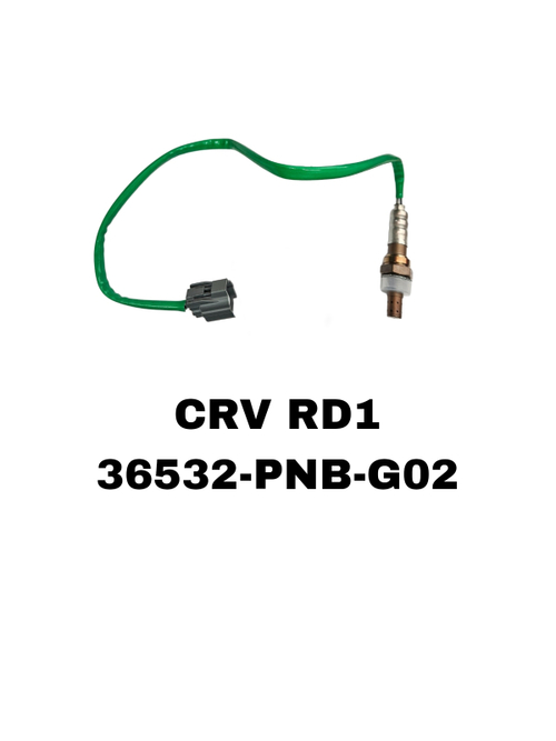 ЛЯМБДОЗОНТ CRV RD1 MAMA