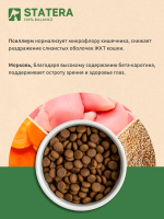 STATERA (Статера) Сухой корм для взрослых кошек с чувствительным пищеварением, индейка