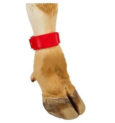 Ножные банды КРС пластиковые VetColor, цвет красный, 10 шт.