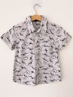 Рубашка Dan Maralex, 116