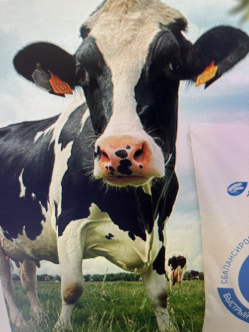 Комбикорм КК-62 для телят, от 3 до 120 дней, протеин 20.8%.