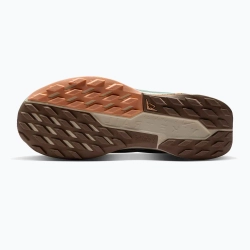 Женские Кроссовки для бега Nike Pegasus Trail 5 cannon/soft pearl/mink brown