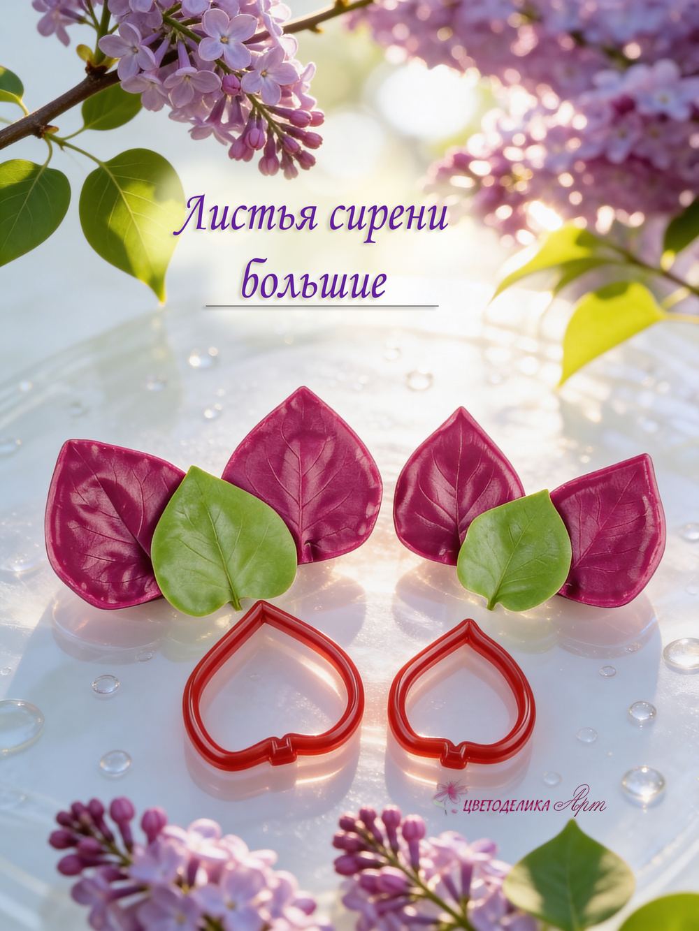 Листья сирени большие