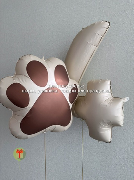 Набор шаров Лапка