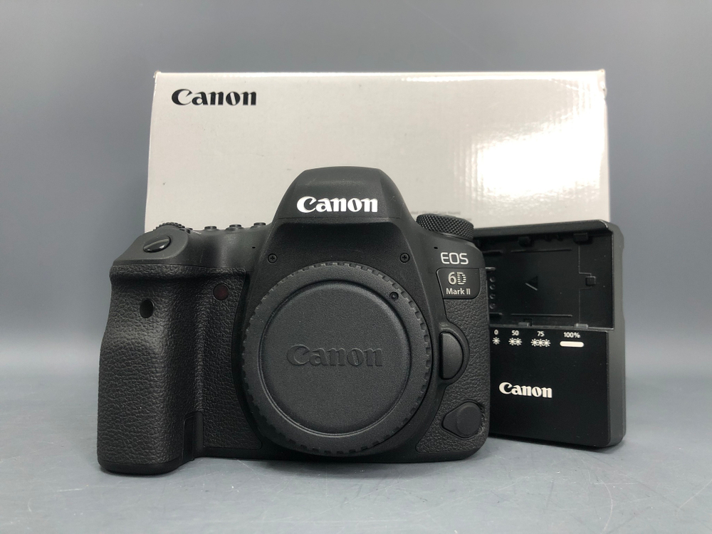 Canon EOS 6D Mark II (2.700 кадров)