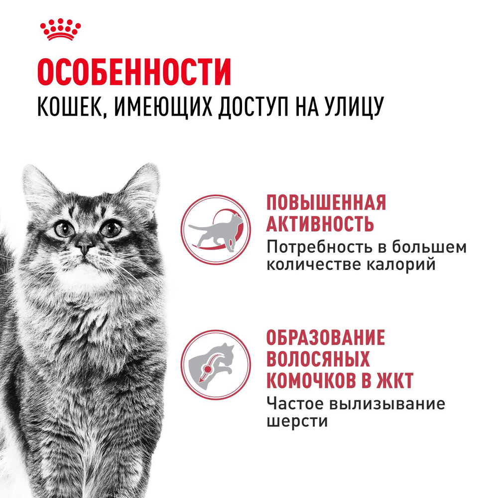 Royal Canin Fit 32 Фит 32 Корм сухой для взрослых умеренно активных кошек от 1 года 200г