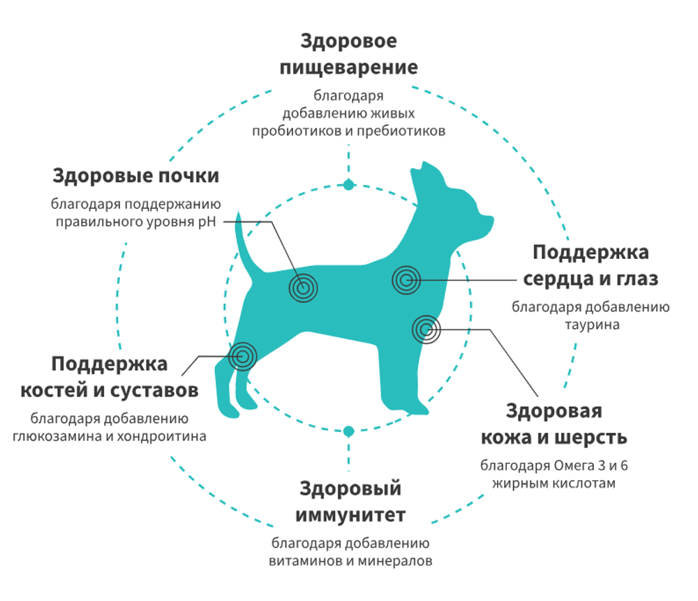 GRANDORF FRESH Свежее мясо ягненка с бататом для собак мелких пород