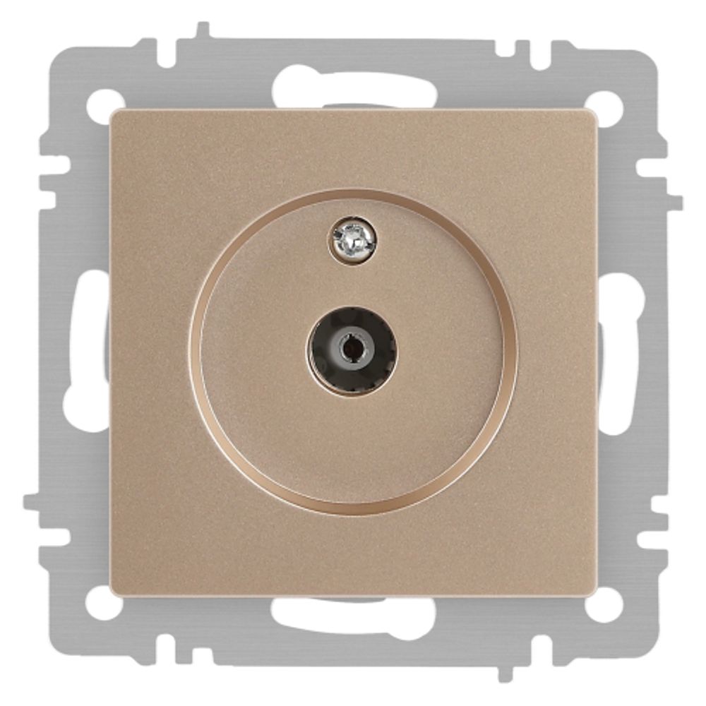 Розетка Intro Accent 6-301-04 TV одиночная, IP20, СУ, шампань