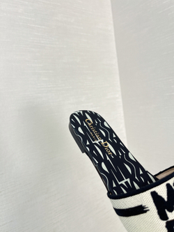 Christian Dior Dway Slide (11 colors)