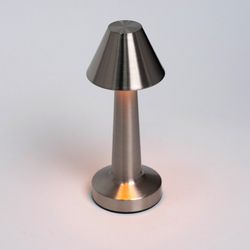 Настольная лампа декоративная Escada EVO 10256/L LED