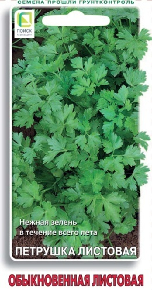 Петрушка Обыкновенная листовая 3гр Поиск