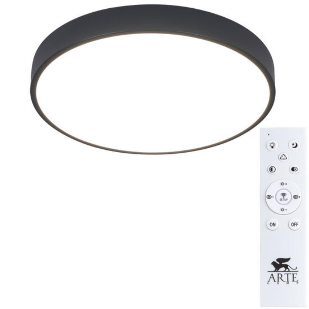 Потолочный светодиодный светильник Arte Lamp ARENA A2661PL-1BK
