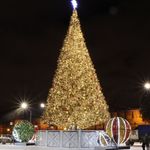 Светодинамическая елка ствольная: с встроенной гирляндой - "Альпийская" 7 м