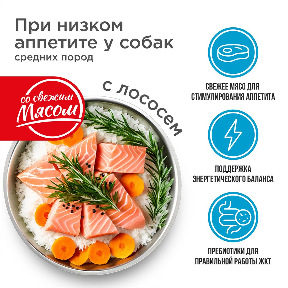 Корм сухой для взрослых собак средних пород, премиум полнорационный комплекс, низкий аппетит, с лососем, 2,5 кг, QUATTRO