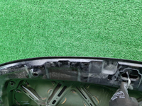 Капот GAC GN8 (2019-2023)
