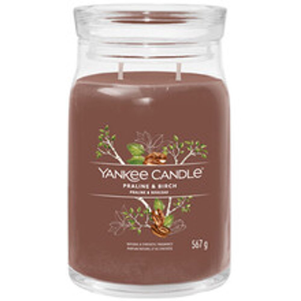 Yankee Candle Praline &amp; Birch Signature Candle (praline and birch) 368.0g