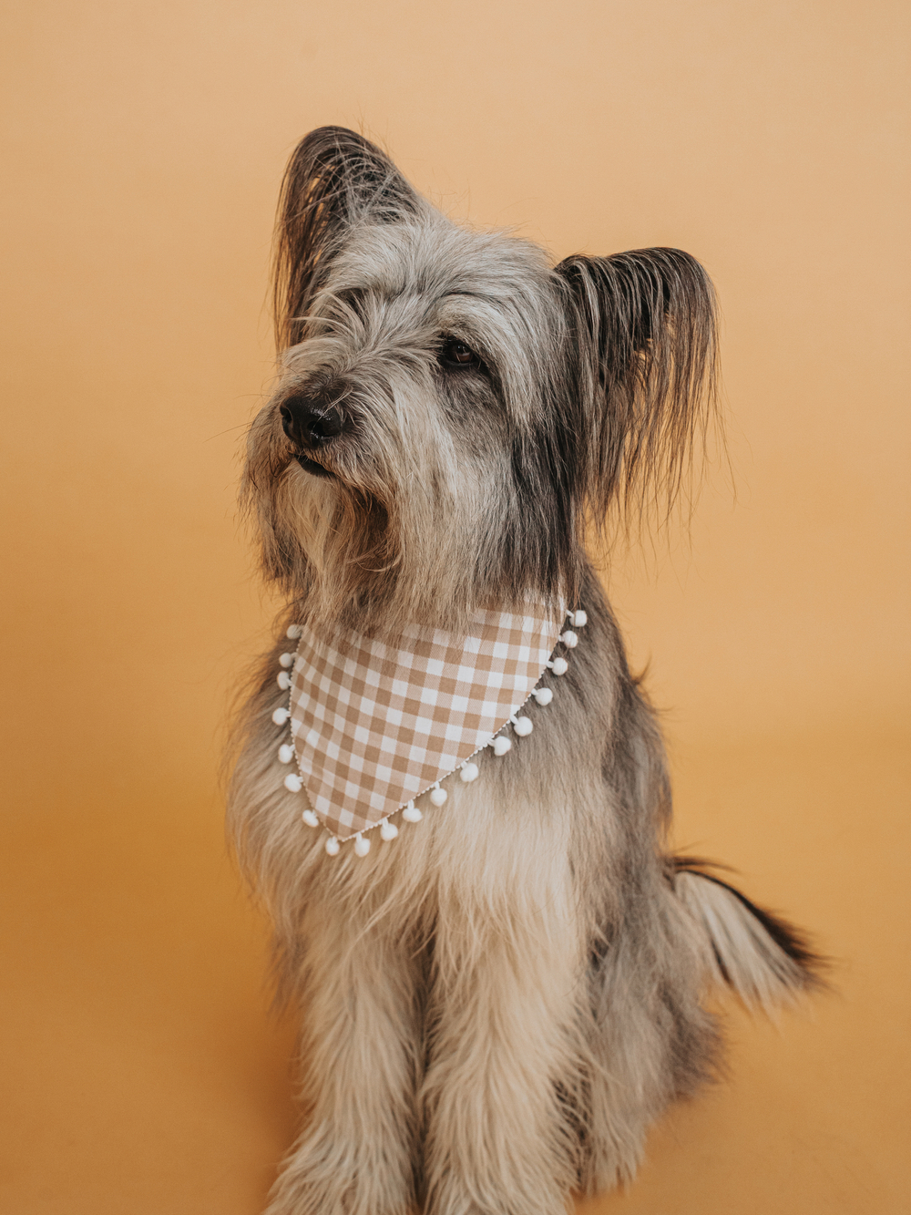 Бандана бежевая в клеточку