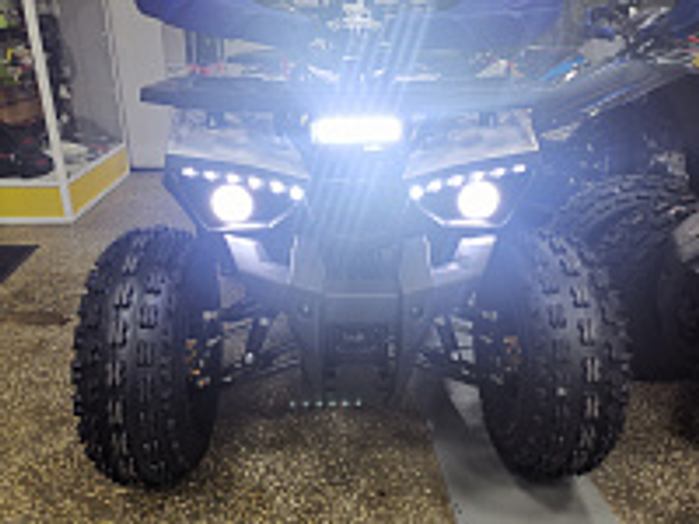 Квадроцикл PROMAX WILD 175 LUX