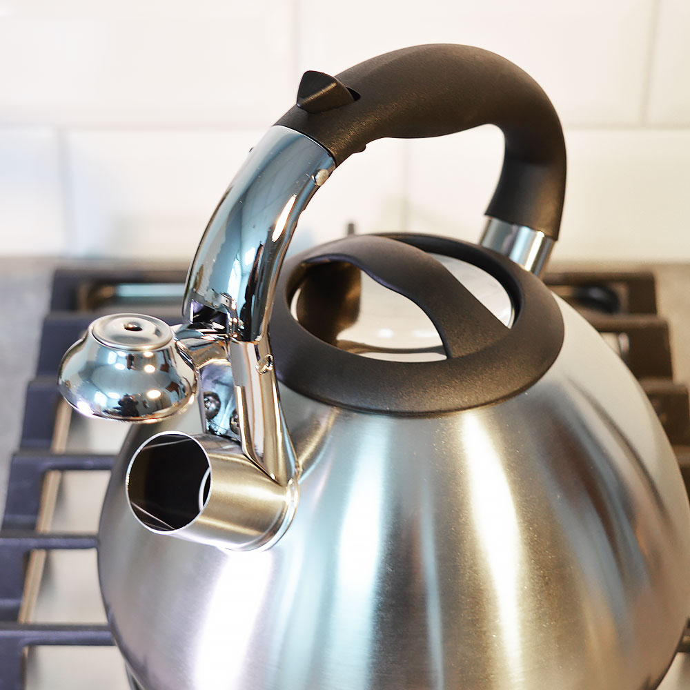 Чайник 3л нерж со свистком, матовый, ручка бакелитовая, "Daniks" GS-04511