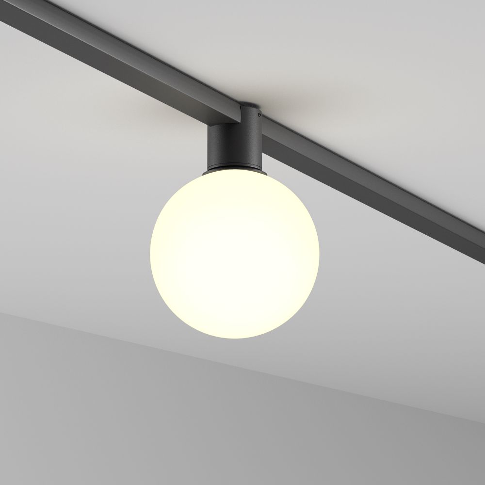 Трековый однофазный светодиодный светильник Maytoni Elasity   TR171-1-5W3K-WB