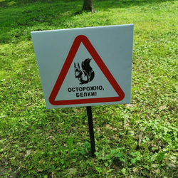 Грифон