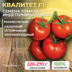 КВАЛИТЕТ F1 семена томата (Syngenta | Alexagro)