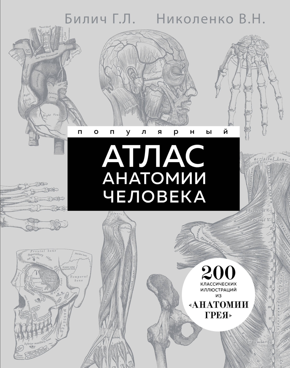 Популярный атлас анатомии человека. 200 классических иллюстраций из «Анатомии Грея»