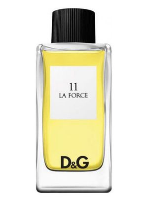 Dolce and Gabbana D and G Anthology La Force 11