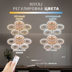 Светильник потолочный светодиодный Rivoli Evlalia 6178-733 LED 70Вт 3000-6000К с пультом | Rivoli