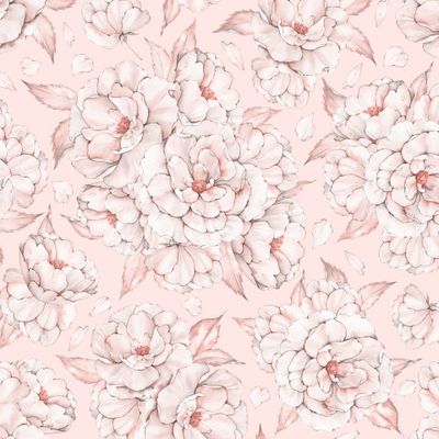 Розы персиковые  -Wild Roses Peach