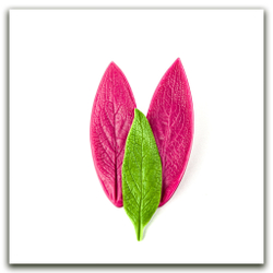 Листья окопника большие