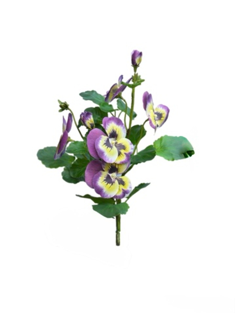 Анютины глазки - Фиолетовый