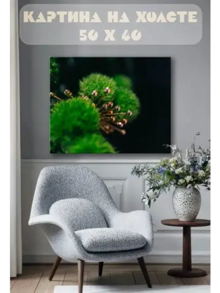 Картина на стену 40 X 50 Растение